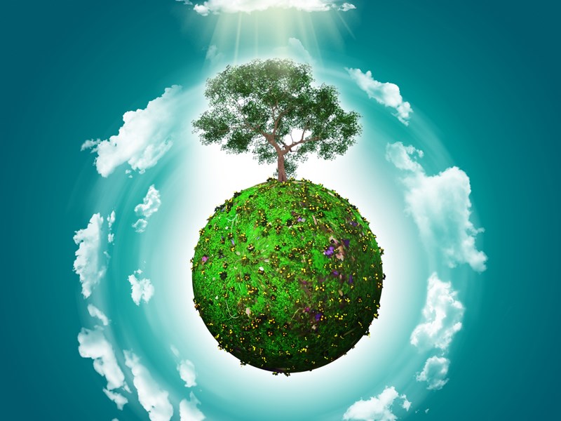 We Going Green